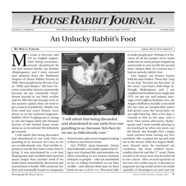 An Unlucky Rabbit's Foot