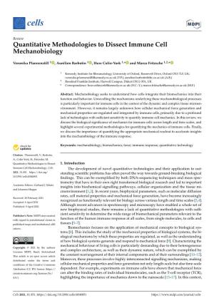Quantitative Methodologies to Dissect Immune Cell Mechanobiology