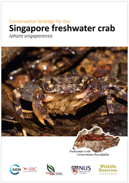 Singapore Freshwater Crab Johora Singaporensis