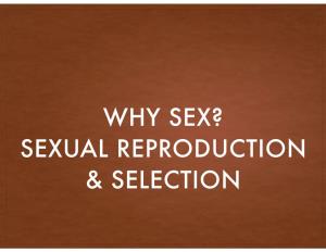 Why Sex? Sexual Reproduction & Selection