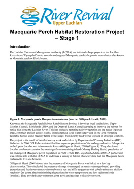 Macquarie Perch Habitat Restoration Project – Stage 1