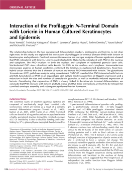 Interaction of the Profilaggrin N-Terminal Domain with Loricrin in Human Cultured Keratinocytes and Epidermis Kozo Yoneda1, Toshitaka Nakagawa2, Owen T