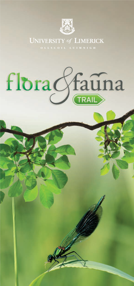UL Flora & Fauna Trail