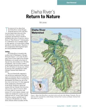 Elwha River's Return to Nature