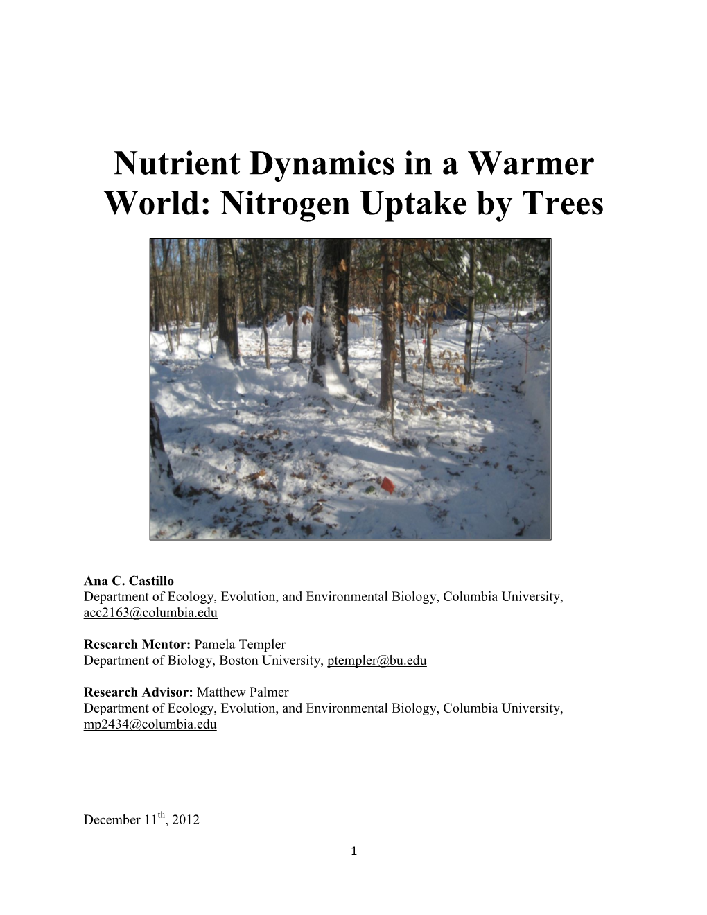 Nitrogen Uptake by Trees