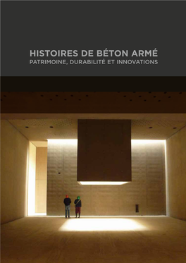 Histoires De Béton Armé : Patrimoine, Durabilité Et Innovations