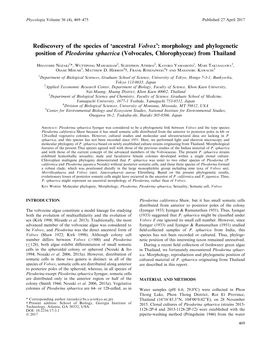 Morphology and Phylogenetic Position of Pleodorina Sphaerica (Volvocales, Chlorophyceae) from Thailand