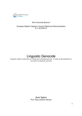 Linguistic Genocide Linguistic Rights of Minorities As a Blind Spot in International Law: a Study on the Potential for a Convention on Linguistic Genocide