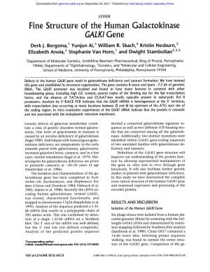 Fine Structure of the Human Galactokinase GALKI Gene Derk J