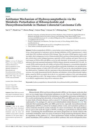 Antitumor Mechanism of Hydroxycamptothecin Via the Metabolic Perturbation of Ribonucleotide and Deoxyribonucleotide in Human Colorectal Carcinoma Cells