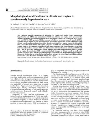 Morphological Modifications in Clitoris and Vagina in Spontaneously Hypertensive Rats