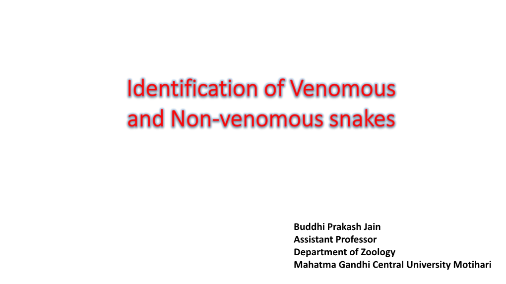 Identification Of Venomous And Non Venomous Snakes - DocsLib