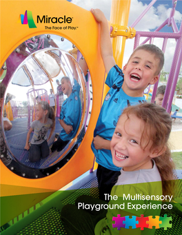 The Multisensory Playground Experience the Many Faces of Play