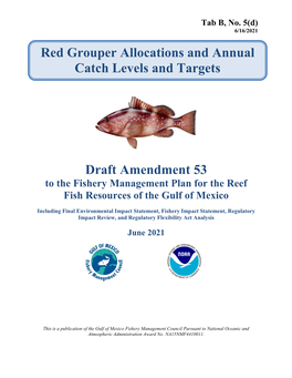 Red Grouper Allocations and Annual Catch Levels and Targets