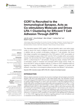 CCR7 Is Recruited to the Immunological Synapse, Acts As Co-Stimulatory Molecule and Drives LFA-1 Clustering for Efﬁcient T Cell Adhesion Through ZAP70