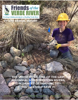 The Verde River, One of the Last Perennial Southwestern Rivers, Is in Danger of Running Dry. You Can Help Save It