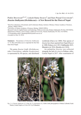 Prabin B A,B,C,*, Lokesh Ratna S D and Ram Prasad C C: Zeuxine Lindleyana (Orchidaceae)—A New Record for the Flora of Nepal