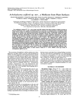 Acholeplasma Seiflertii Sp. Nov. a Mollicute from Plant Surfaces