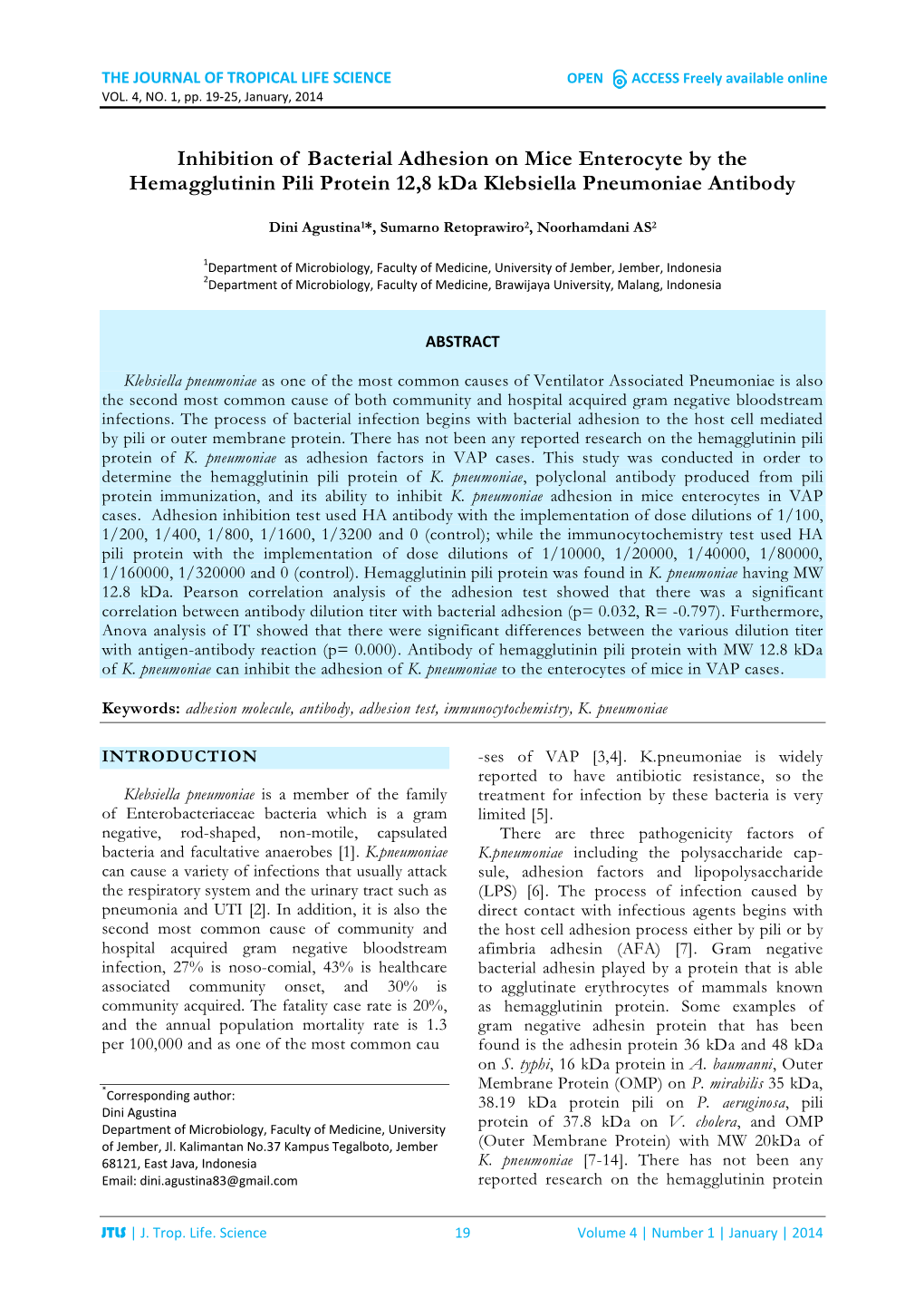 Inhibition of Bacterial Adhesion on Mice Enterocyte by the Hemagglutinin Pili Protein 12,8 Kda Klebsiella Pneumoniae Antibody