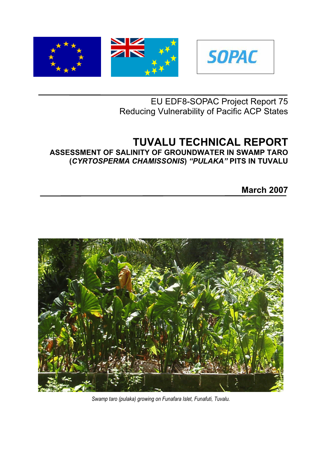 Tuvalu Technical Report, Assessment of Salinity of Groundwater in Swamp Taro