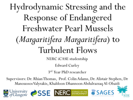Hydrodynamic Stressing and the Response of Endangered Freshwater Pearl Mussels (Margaritifera Margaritifera) to Turbulent Flows