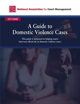 A Guide to DOMESTIC VIOLENCE CASES