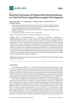Bacterial Expression of Human Butyrylcholinesterase As a Tool for Nerve Agent Bioscavengers Development
