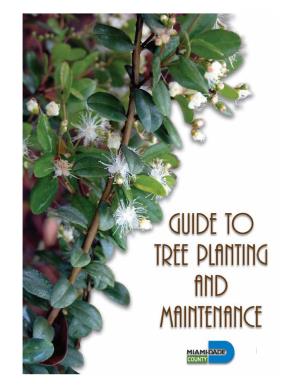 Guide to Street Tree Planting and Maintenance