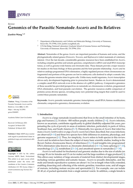 Genomics of the Parasitic Nematode Ascaris and Its Relatives