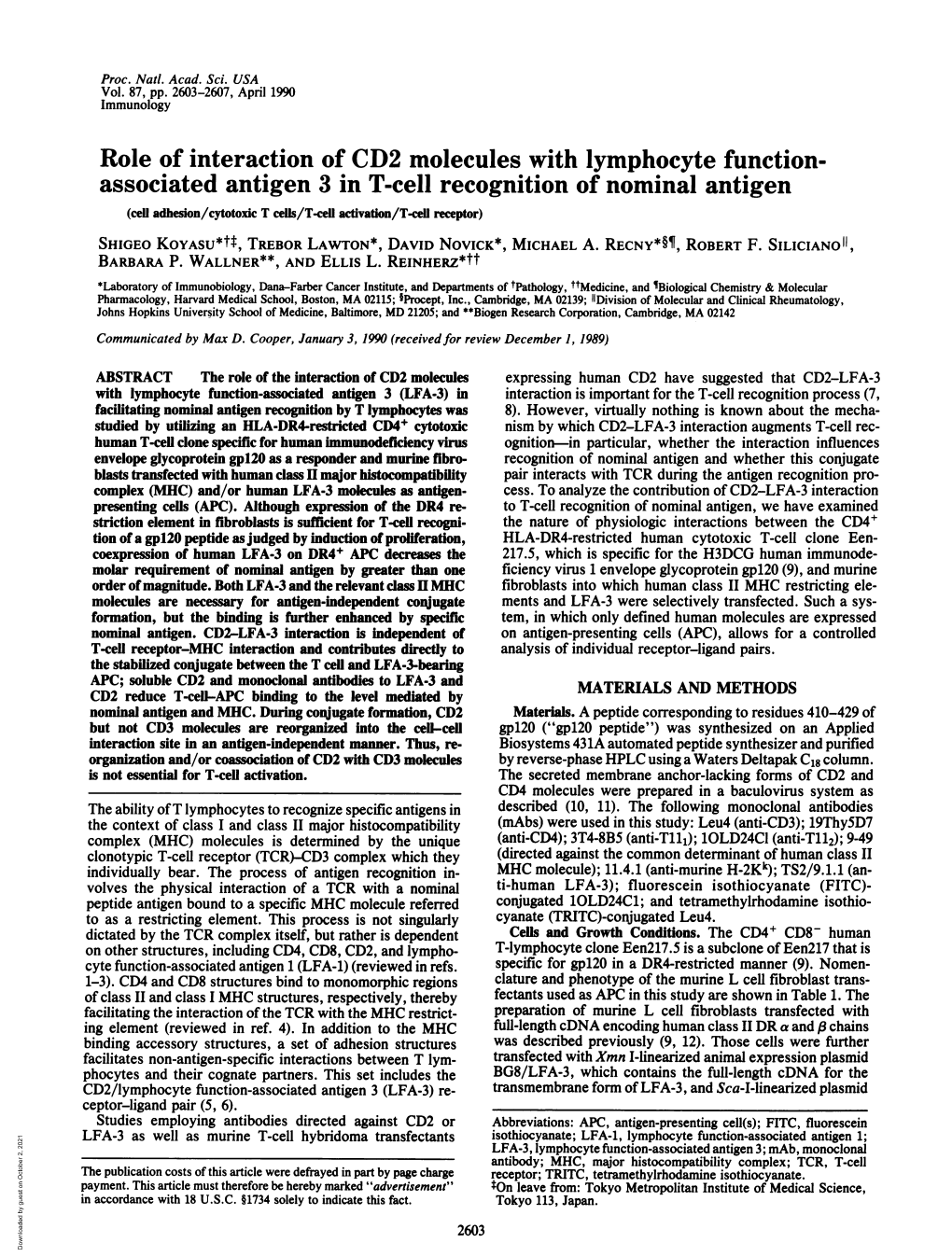 Role of Interaction of CD2 Molecules with Lymphocyte Function