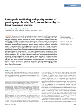 Retrograde Trafficking and Quality Control of Yeast Synaptobrevin, Snc1, Are Conferred by Its Transmembrane Domain