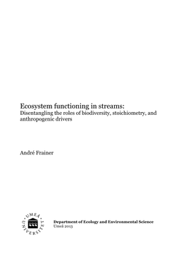 Ecosystem Functioning in Streams: Disentangling the Roles of Biodiversity, Stoichiometry, and Anthropogenic Drivers