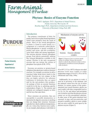 AS-560-W Phytase: Basics of Enzyme Function