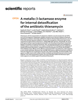 A Metallo-Β-Lactamase Enzyme for Internal Detoxification of The