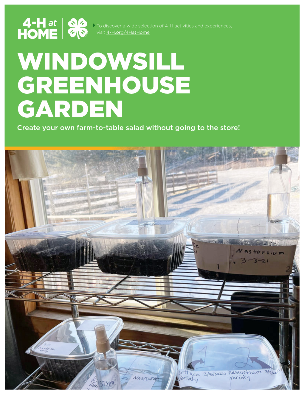 Windowsill Greenhouse Garden