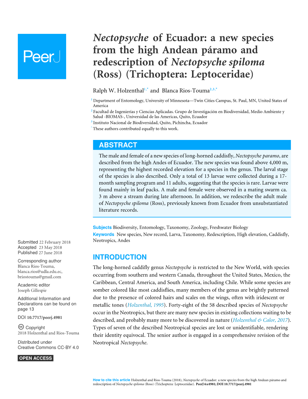 Nectopsyche of Ecuador: a New Species from the High Andean Páramo and Redescription of Nectopsyche Spiloma (Ross) (Trichoptera: Leptoceridae)