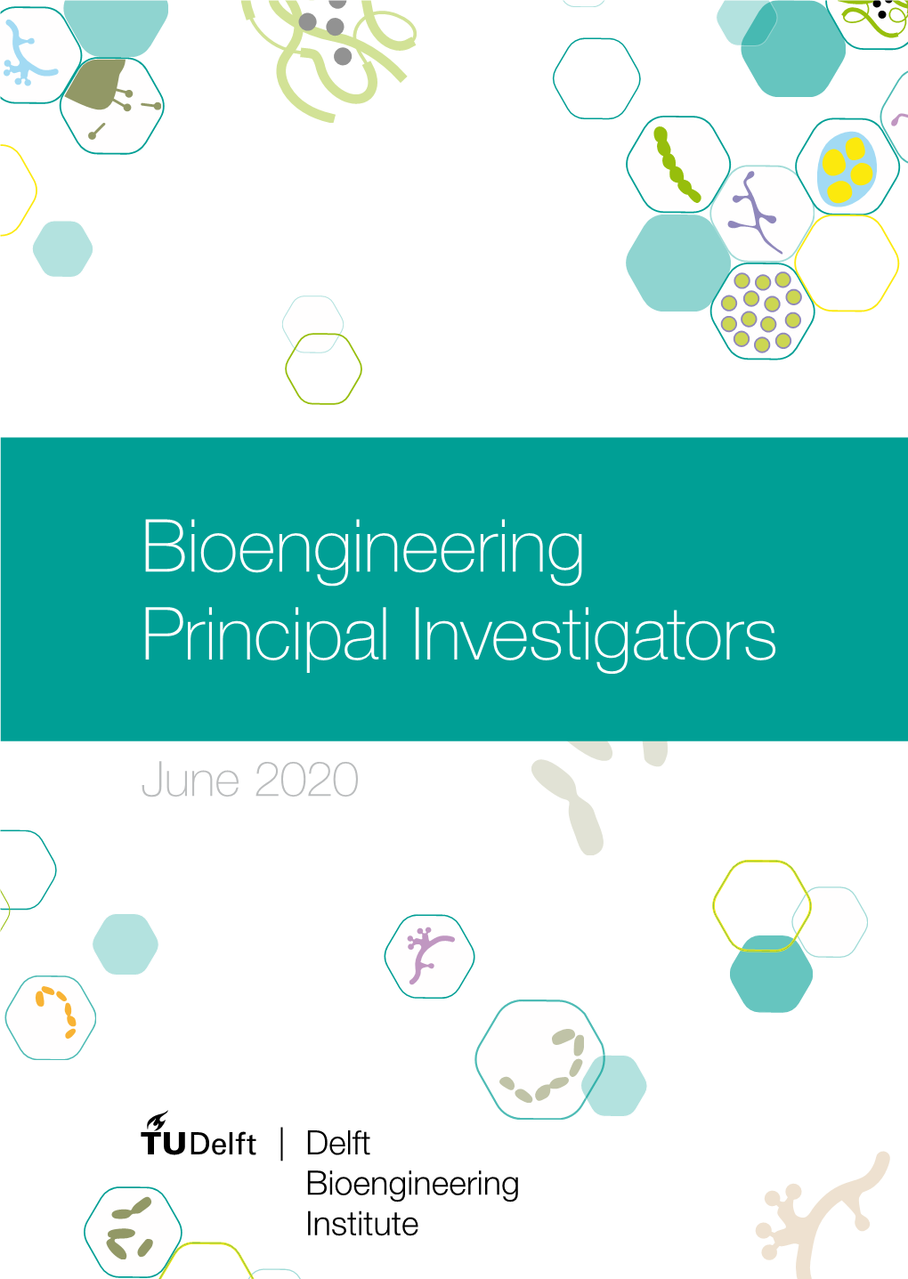 Bioengineering Principal Investigators