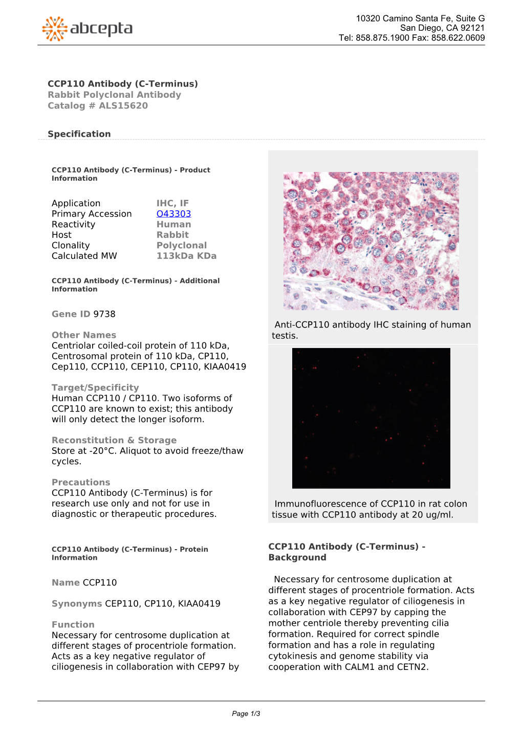 CCP110 Antibody (C-Terminus) Rabbit Polyclonal Antibody Catalog # ALS15620