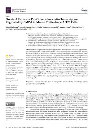 Orexin a Enhances Pro-Opiomelanocortin Transcription Regulated by BMP-4 in Mouse Corticotrope Att20 Cells