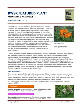Bwsr Featured Plant Minnesota's Milkweeds