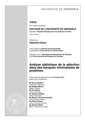 Analyse Statistique De La Sélection Dans Des Banques Minimalistes De Protéines