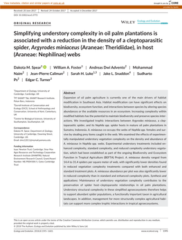 Simplifying Understory Complexity in Oil Palm Plantations Is Associated