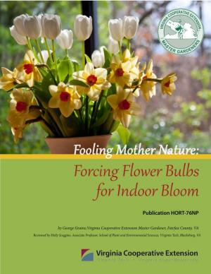 HORT-76NP-Fooling Mother Nature: Forcing Flower Bulbs for Indoor