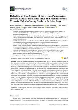 Bovine Papular Stomatitis Virus and Pseudocowpox Virus) in Ticks Infesting Cattle in Burkina Faso