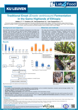 (Ensete Ventricosum) Fermentation in the Gamo Highlands of Ethiopia