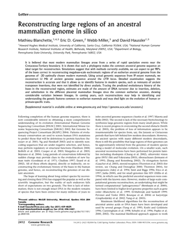 Reconstructing Large Regions of an Ancestral Mammalian Genome in Silico