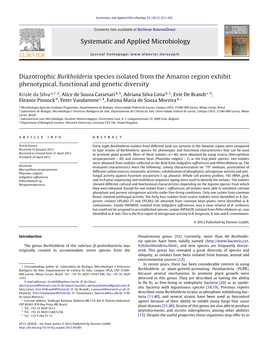 Diazotrophic Burkholderia Species Isolated from the Amazon Region Exhibit