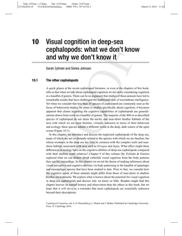 Visual Cognition in Deep-Sea Cephalopods: What We Don't