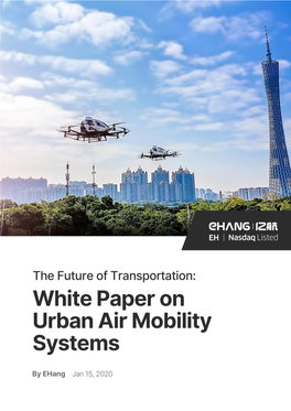 White Paper on Urban Air Mobility Systems