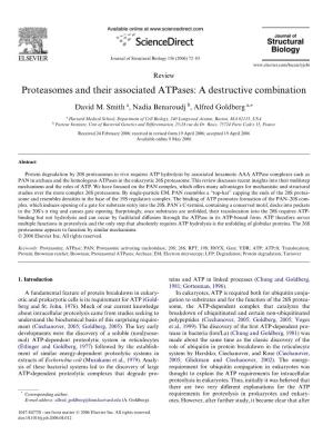 Proteasomes and Their Associated Atpases: a Destructive Combination